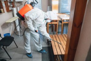 απολυμάνσεις Κεραμεικός