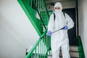 απολυμάνσεις Κεραμεικός